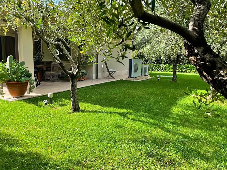 Immagine 3 di Villa in affitto  a Forte Dei Marmi