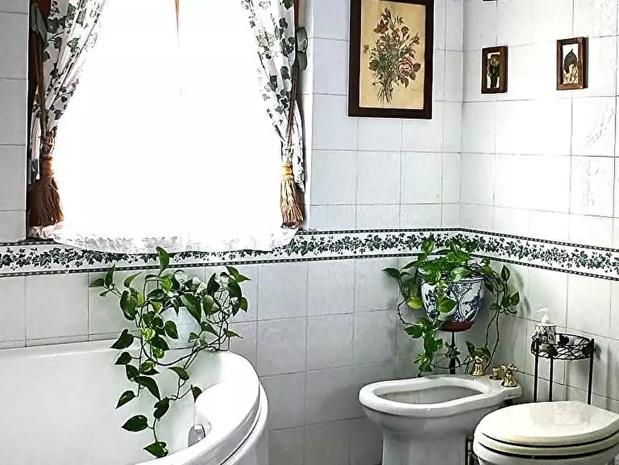 Immagine 12 di Casa colonica in vendita  a Pietrasanta