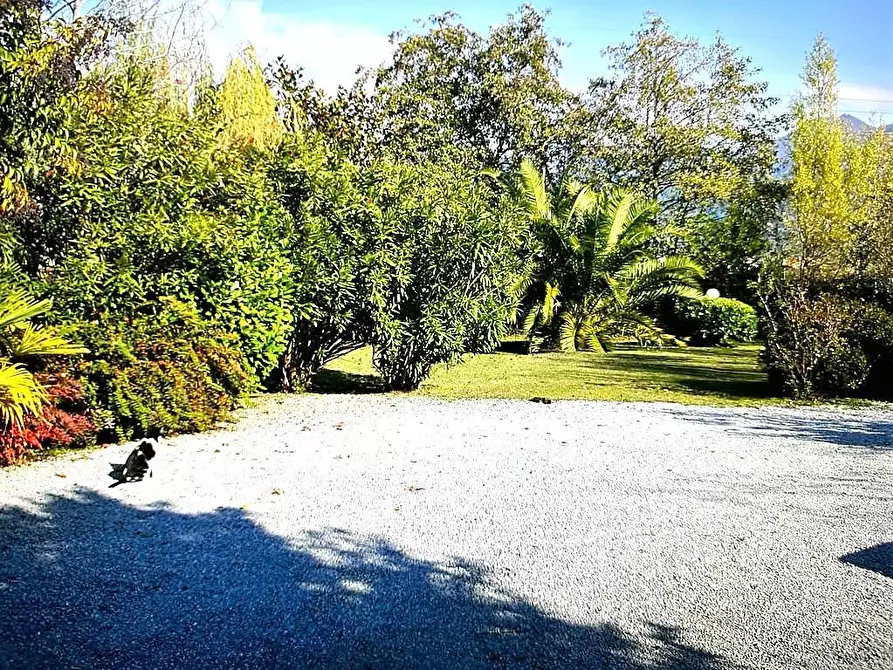 Immagine 2 di Casa colonica in vendita  a Pietrasanta