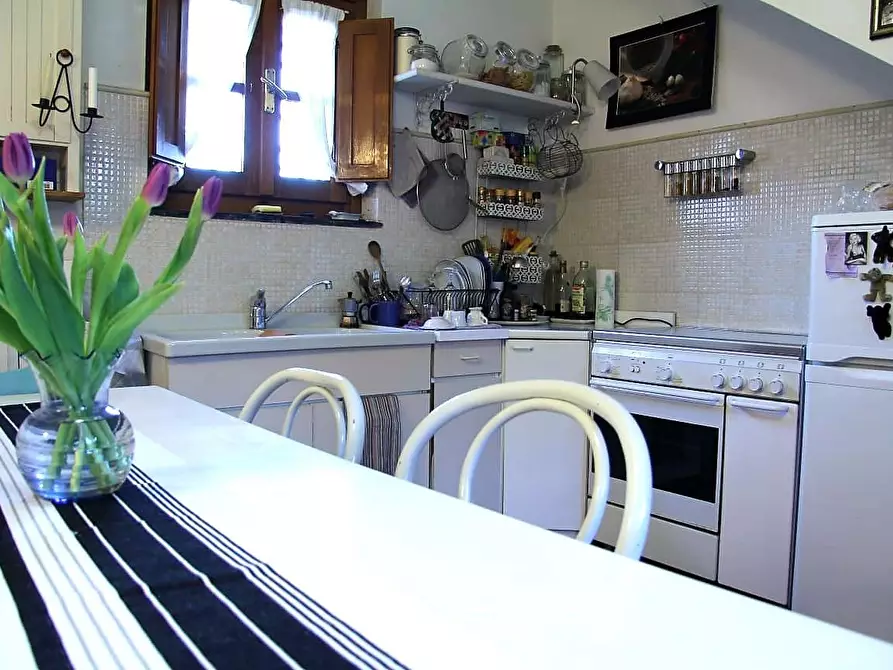 Immagine 5 di Casa colonica in vendita  a Pietrasanta