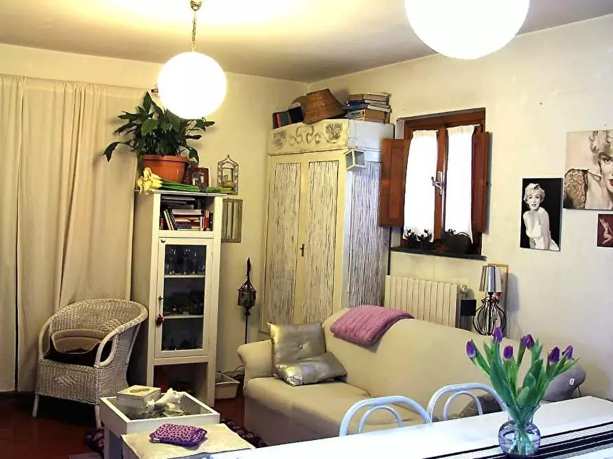 Immagine 11 di Casa colonica in vendita  a Pietrasanta