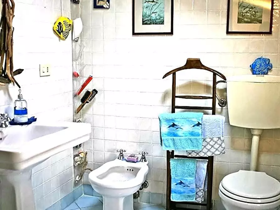 Immagine 14 di Casa colonica in vendita  a Pietrasanta