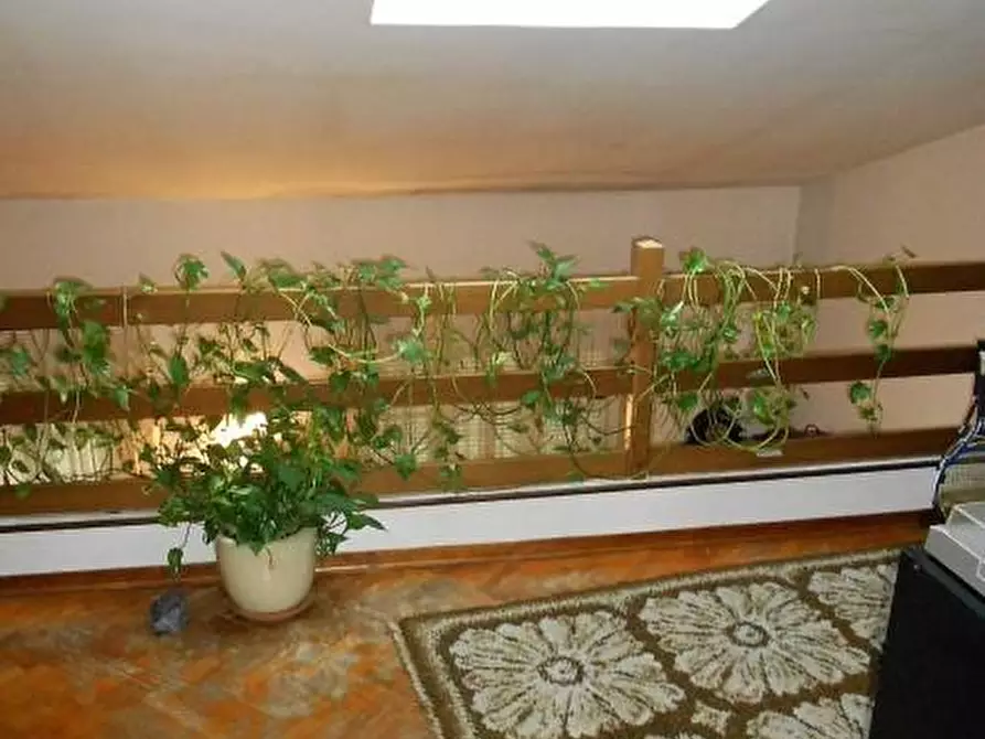 Immagine 26 di Porzione di casa in vendita  a Massa