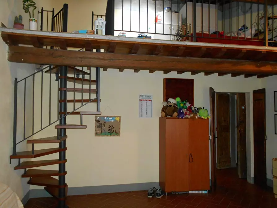 Immagine 22 di Casa colonica in vendita  a Fauglia