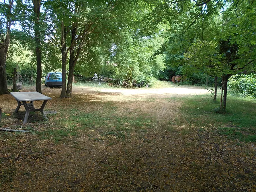 Immagine 46 di Casa colonica in vendita  a Fauglia