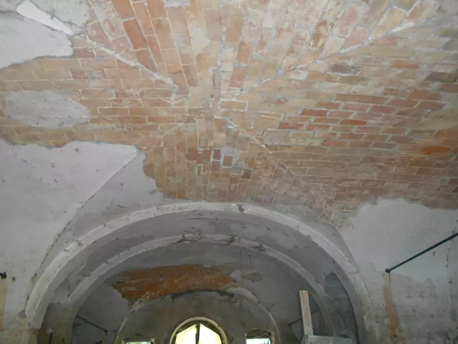 Immagine 36 di Casa colonica in vendita  a Fauglia