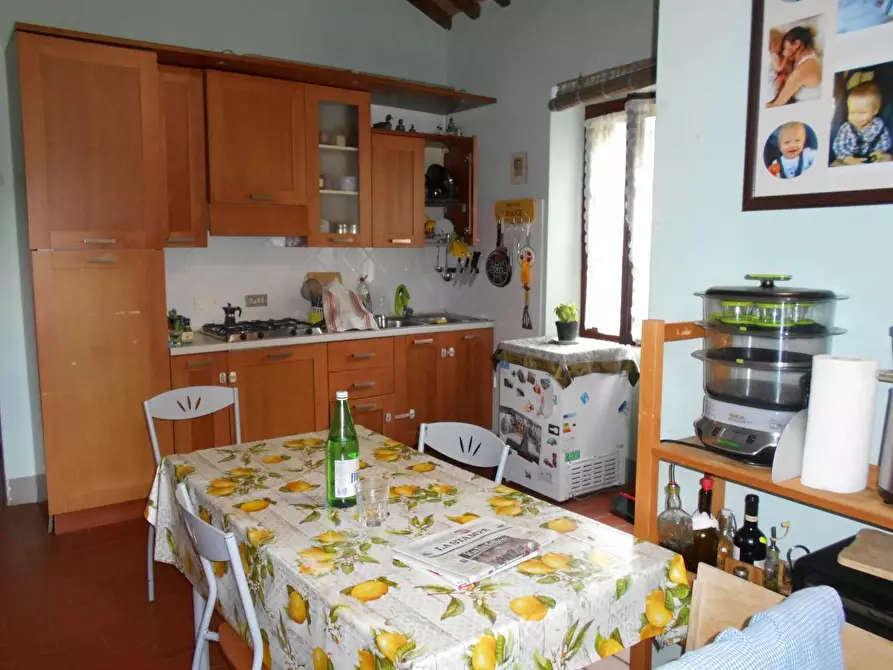 Immagine 31 di Casa colonica in vendita  a Fauglia