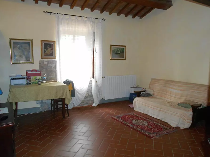 Immagine 20 di Casa colonica in vendita  a Fauglia