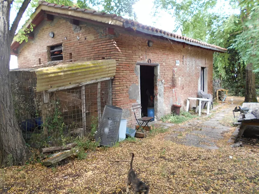 Immagine 45 di Casa colonica in vendita  a Fauglia