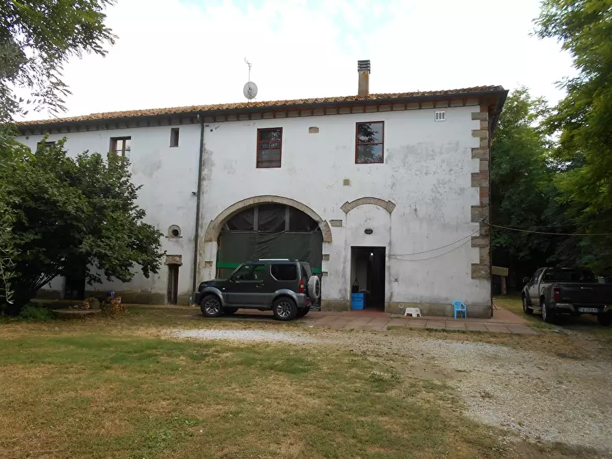 Immagine 1 di Casa colonica in vendita  a Fauglia