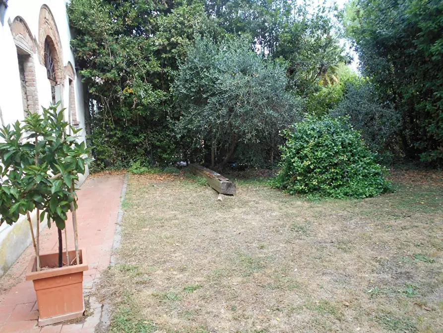 Immagine 33 di Casa colonica in vendita  a Fauglia