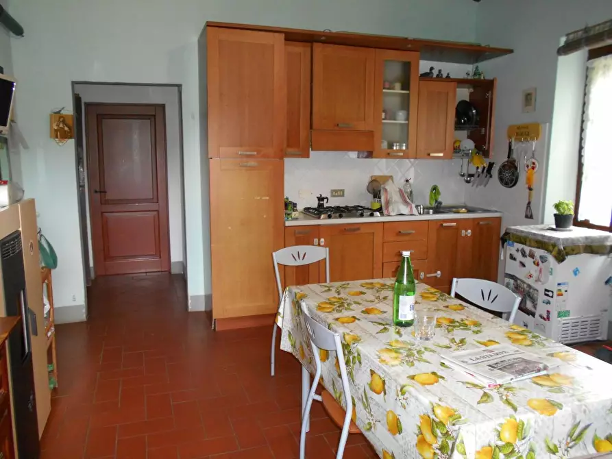 Immagine 32 di Casa colonica in vendita  a Fauglia