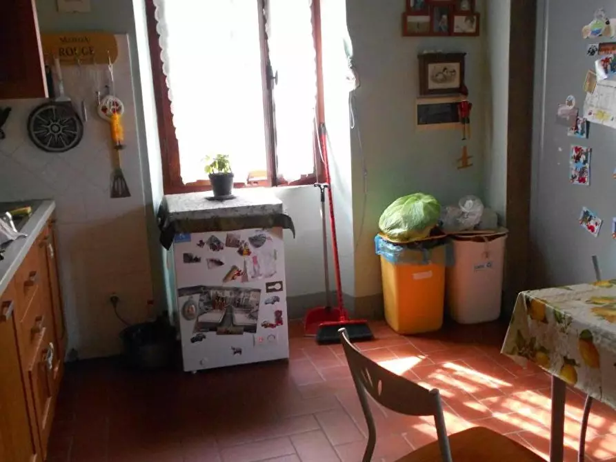 Immagine 30 di Casa colonica in vendita  a Fauglia