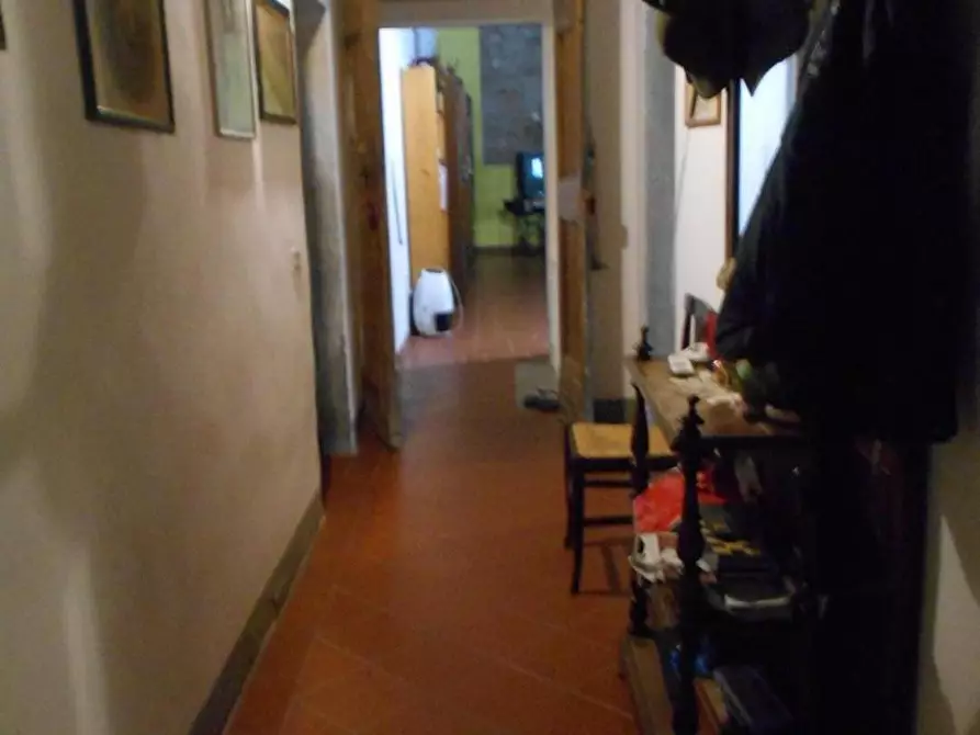 Immagine 38 di Casa colonica in vendita  a Fauglia