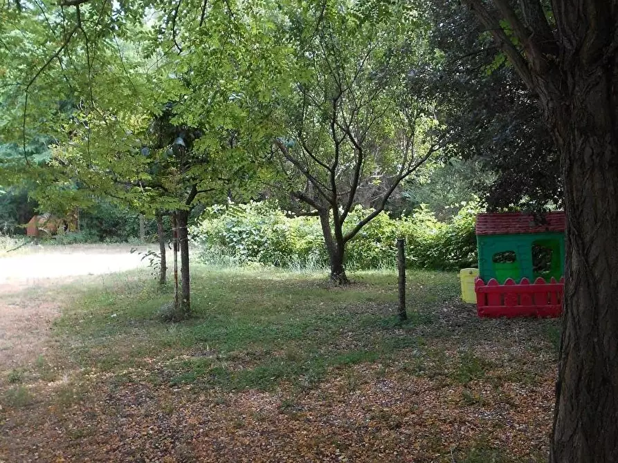 Immagine 47 di Casa colonica in vendita  a Fauglia