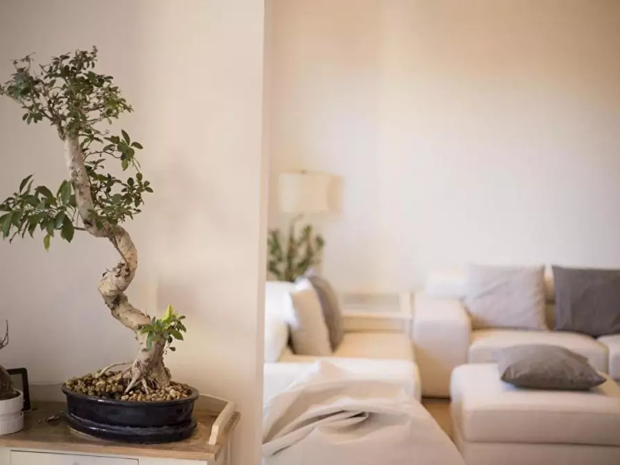 Immagine 17 di Villa in vendita  a Montecarlo