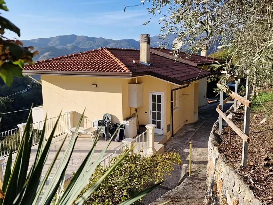 Immagine 17 di Villa in vendita  a Carrara