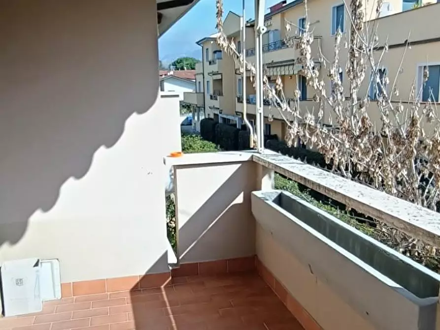 Immagine 3 di Appartamento in affitto  a Massa