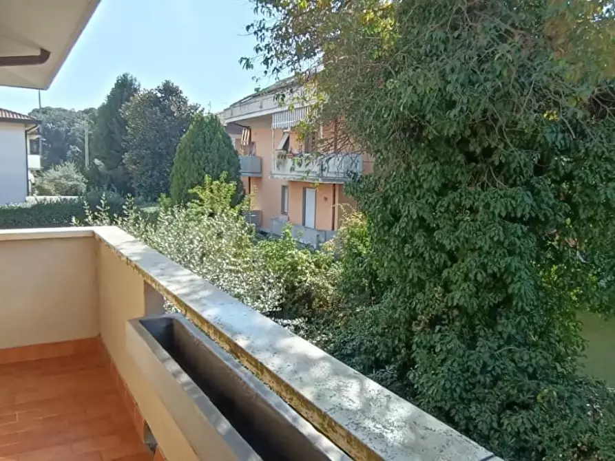 Immagine 4 di Appartamento in affitto  a Massa