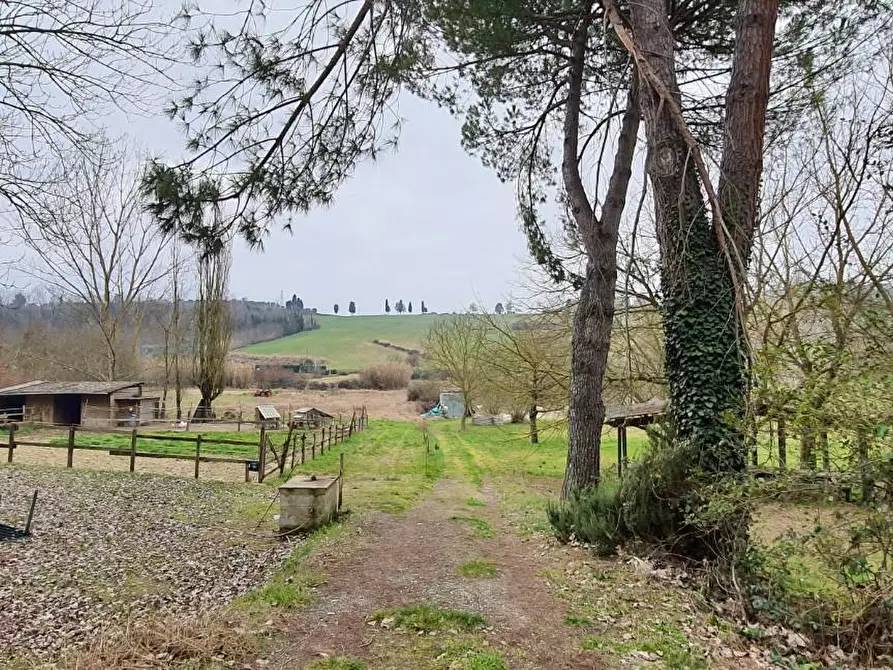 Immagine 8 di Deposito in vendita  a Capannoli