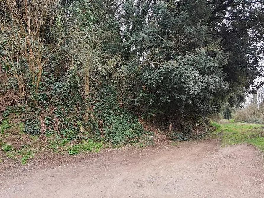 Immagine 6 di Deposito in vendita  a Capannoli