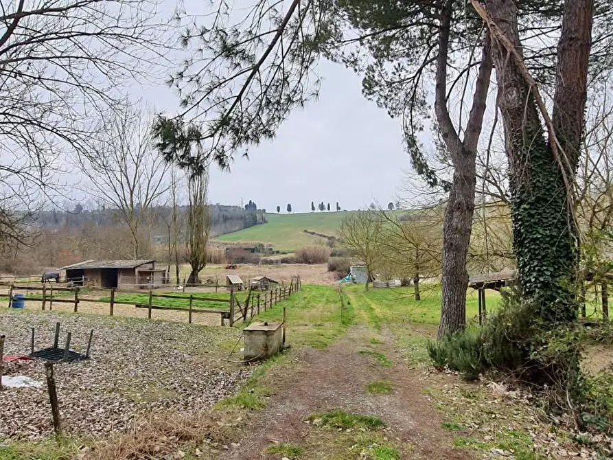 Immagine 7 di Deposito in vendita  a Capannoli