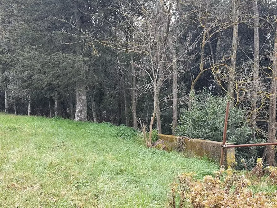 Immagine 23 di Deposito in vendita  a Capannoli