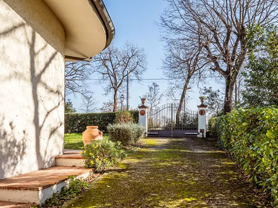 Immagine 10 di Villa in vendita  a Bientina