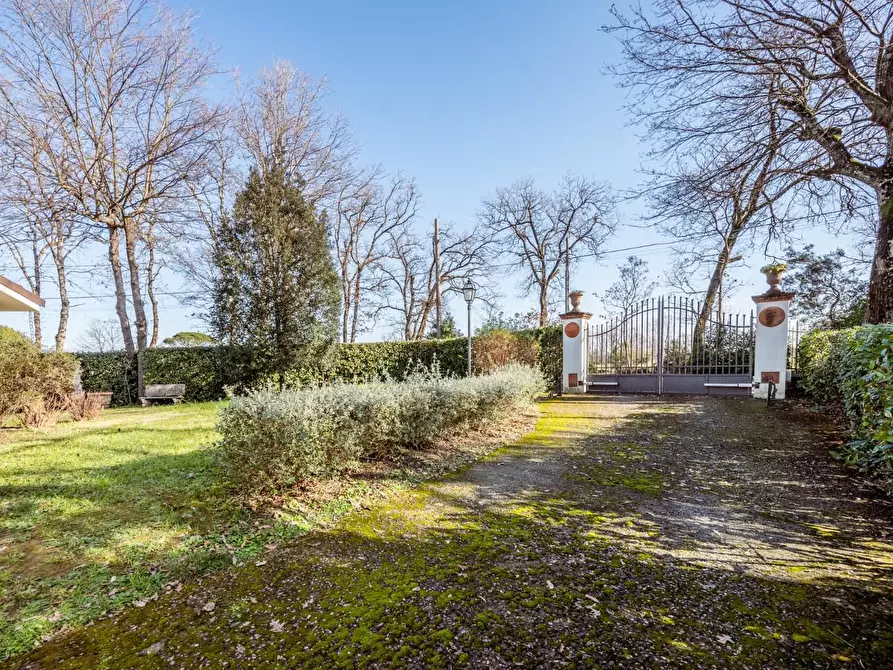 Immagine 9 di Villa in vendita  a Bientina