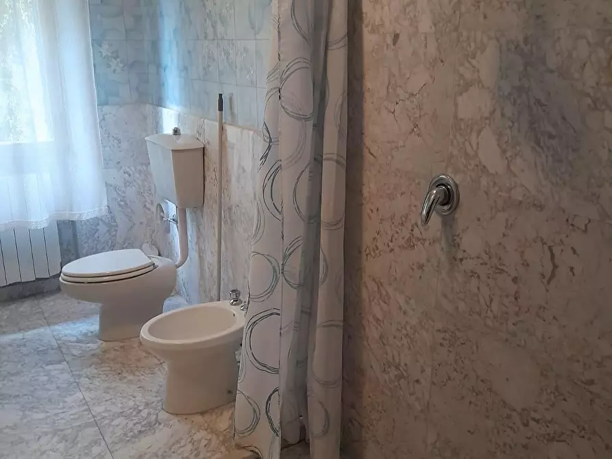 Immagine 12 di Villa in affitto  a Forte Dei Marmi