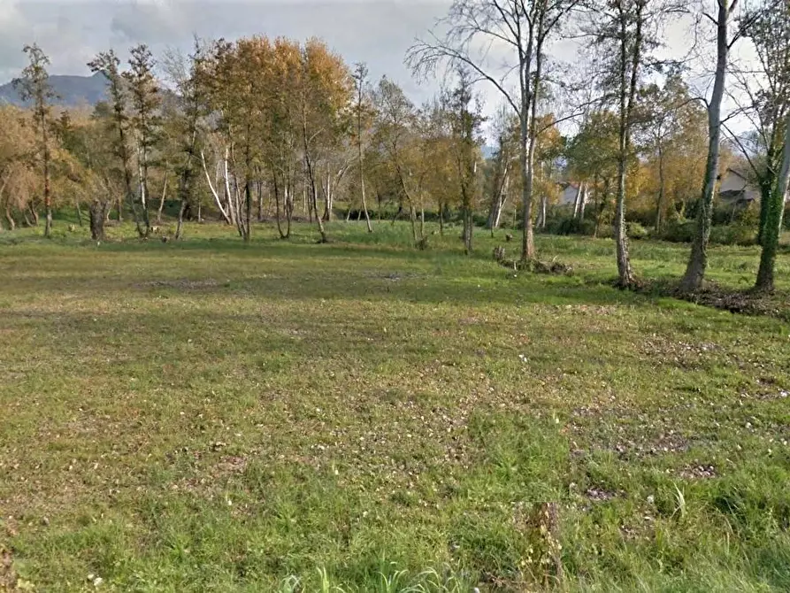 Immagine 2 di Terreno residenziale in vendita  a Montignoso