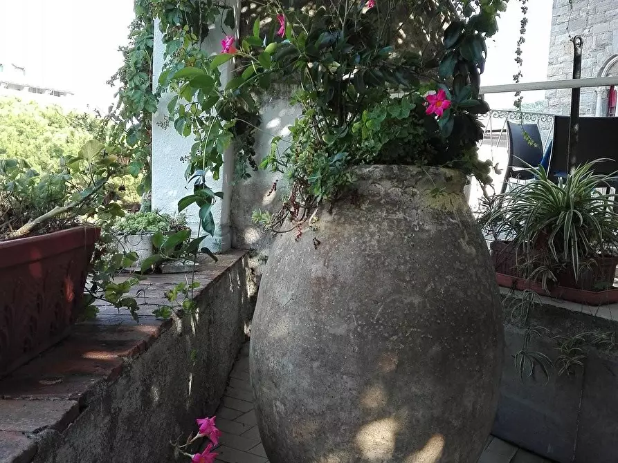 Immagine 23 di Locale commerciale in vendita  a Portovenere