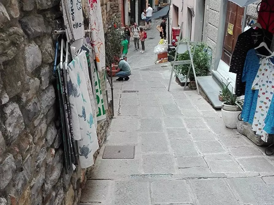 Immagine 11 di Locale commerciale in vendita  a Portovenere