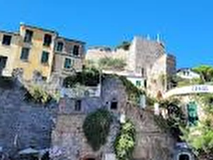 Immagine 2 di Locale commerciale in vendita  a Portovenere