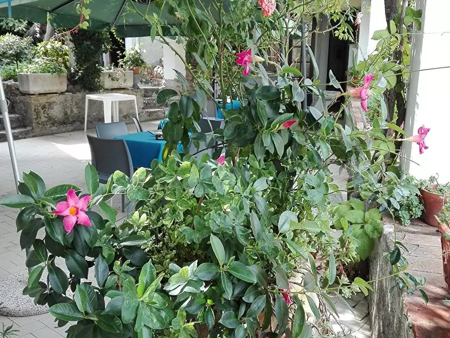 Immagine 20 di Locale commerciale in vendita  a Portovenere