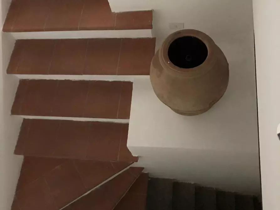 Immagine 4 di Appartamento in vendita  a Pisa