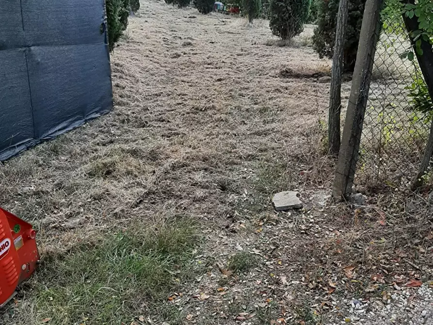 Immagine 6 di Terreno agricolo in vendita  a Casciana Terme Lari