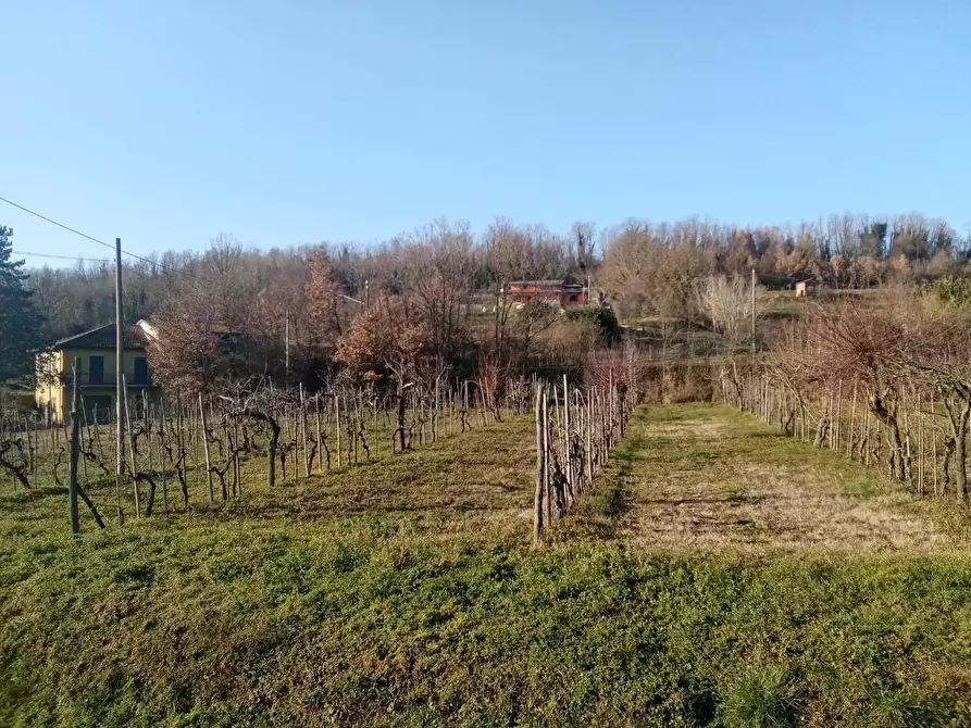 Immagine 2 di Casa indipendente in vendita  a Fivizzano