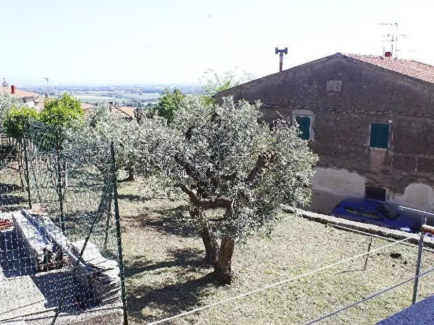 Immagine 18 di Appartamento in vendita  a Rosignano Marittimo