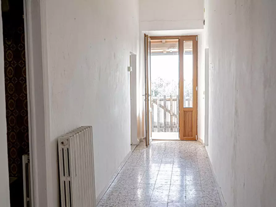 Immagine 12 di Appartamento in vendita  a Rosignano Marittimo