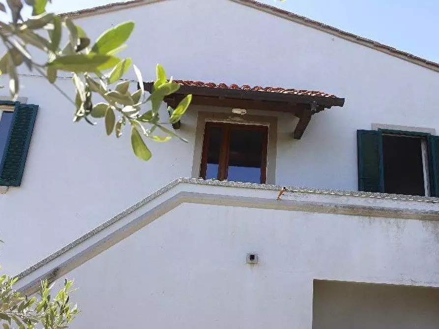 Immagine 2 di Appartamento in vendita  a Rosignano Marittimo