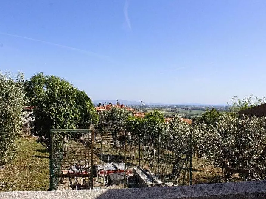 Immagine 13 di Appartamento in vendita  a Rosignano Marittimo