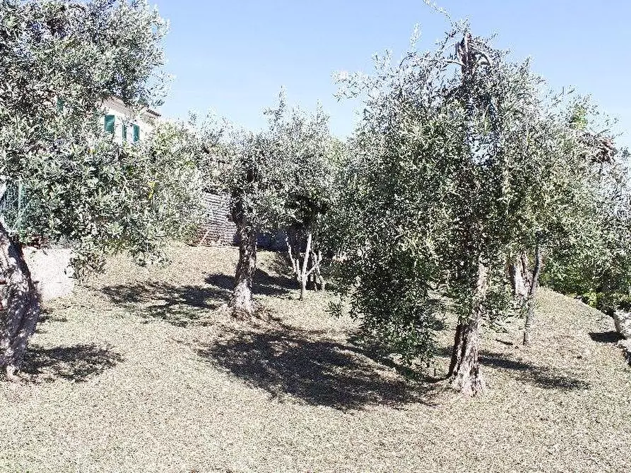 Immagine 19 di Appartamento in vendita  a Rosignano Marittimo