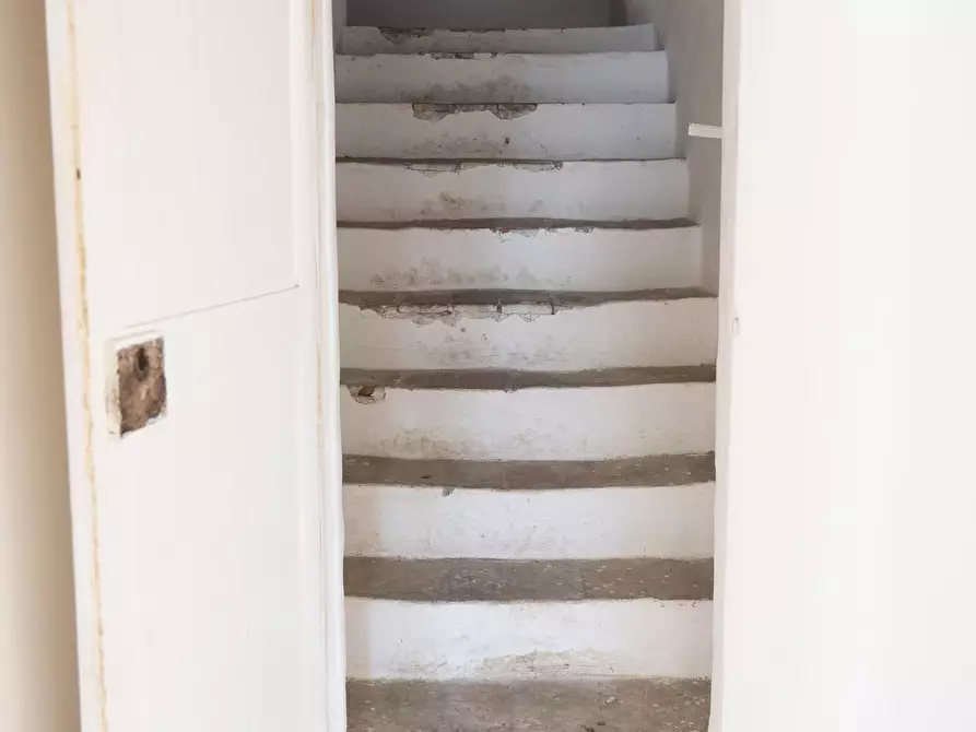 Immagine 9 di Appartamento in vendita  a Rosignano Marittimo