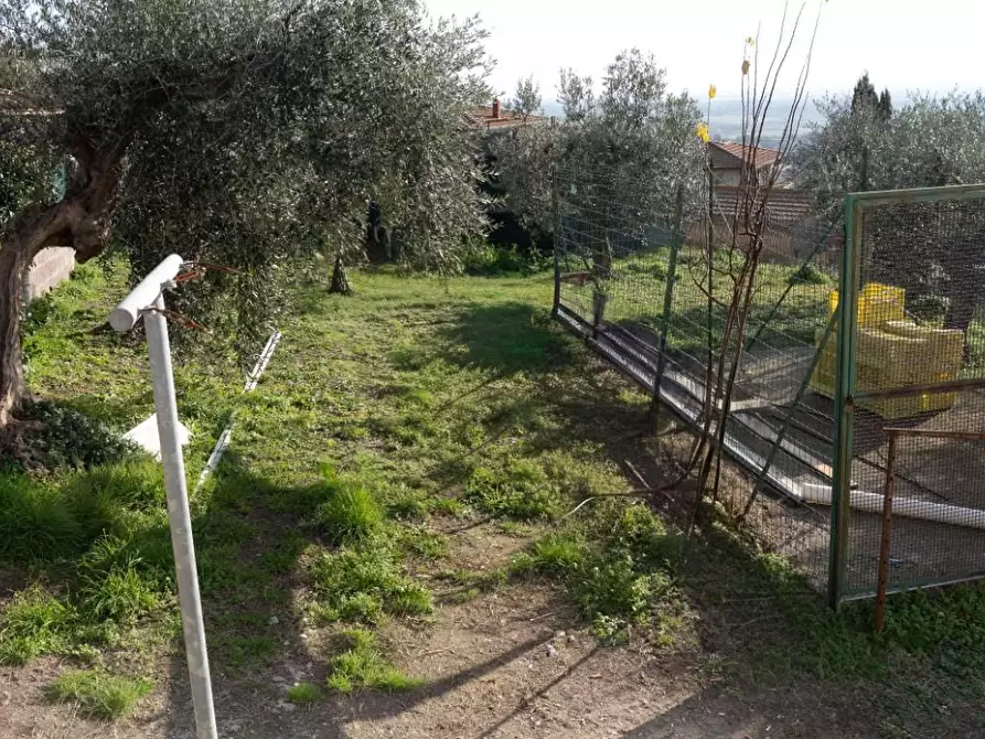 Immagine 22 di Appartamento in vendita  a Rosignano Marittimo