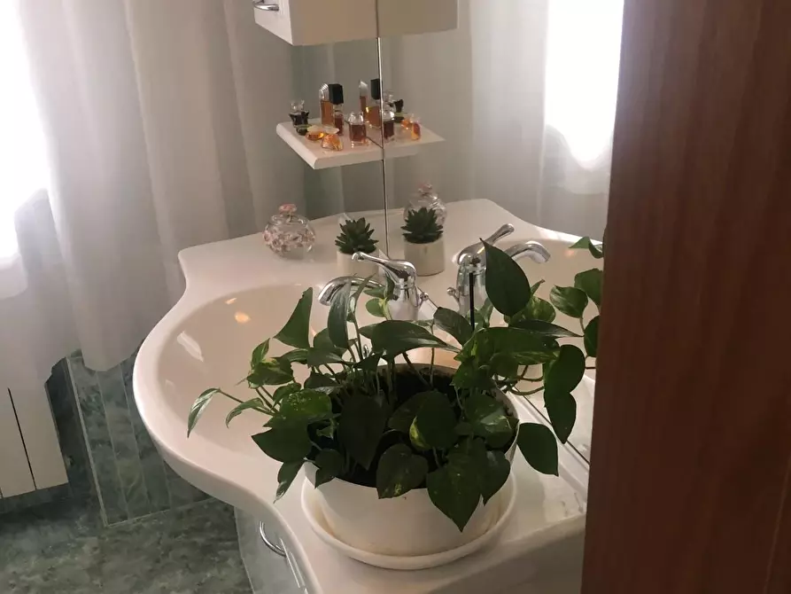 Immagine 21 di Casa semindipendente in vendita  a Massa