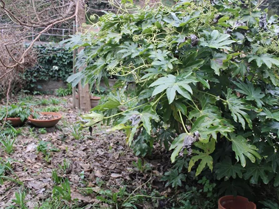 Immagine 23 di Villa in vendita  a Capannoli