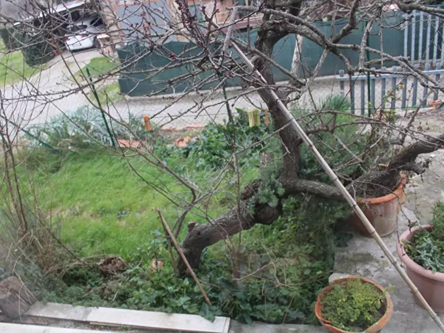 Immagine 25 di Villa in vendita  a Capannoli