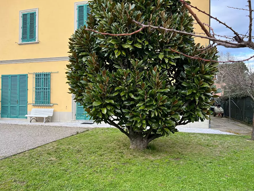 Immagine 11 di Villa in vendita  a San Miniato