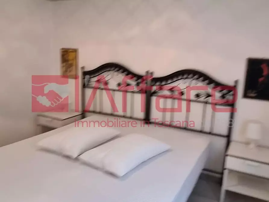 Immagine 35 di Appartamento in affitto  a Pontedera